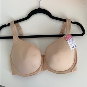 36E Bra